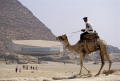 Physical Object: Camels and Tourists at the Pyramids of Giza (Gizeh), Khufu