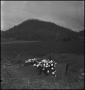 Thumbnail image of item number 1 in: '[Mountain Funeral: Final Resting Place]'.