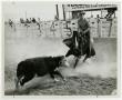 Photograph: [Tucson Rodeo cutting]