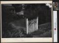 Photograph: [Gate without a Fence]