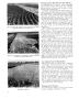 Thumbnail image of item number 4 in: 'Grass Waterways in Soil Conservation.'.