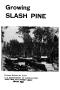 Primary view of Growing slash pine.