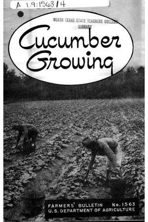 Primary view of object titled 'Cucumber growing.'.