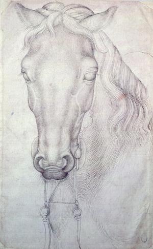 Primary view of object titled 'Head of a Horse'.