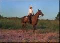 Photograph: [Margaret Crimmins on horseback]