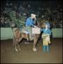 Photograph: [Man on horseback receives award from girl]