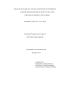 Thesis or Dissertation: Urban Sustainability and the Extinction of Experience: Acknowledging …