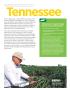 Report: Tennessee: Tennessee's Clean Energy Resources and Economy (Brochure)