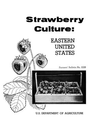 Primary view of object titled 'Strawberry Culture: Eastern United States'.