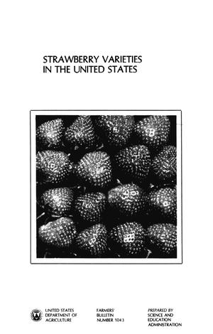 Primary view of object titled 'Strawberry Varieties in the United States'.