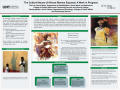 Poster: The Cultural Abuse of African Women Exposed: A Work in Progress
