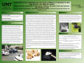 Poster: The Effects Of Cocaine On The Development Of Maggots And The Effect O…