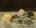 Artwork: Two Roses on a Tablecloth