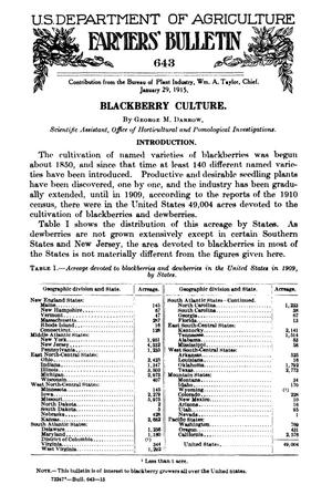 Primary view of object titled 'Blackberry Culture'.