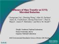 Presentation: Influence of Mass Transfer on U(VI) Microbial Reduction