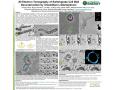 Article: 3D Electron Tomography of Switchgrass Cell Wall Deconstruction by Clo…