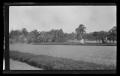 Photograph: [People walking in a park]