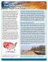 Pamphlet: What Climate Change Means for New Jersey