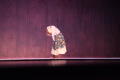 Photograph: [Solo dancer leaning over on stage]