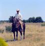 Photograph: [Red Stephenson Rides Dark Chestnut Horse in a Field]