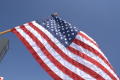 Photograph: [American flag]