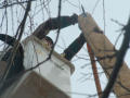 Primary view of [Altec employee working on utility line]