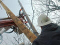 Primary view of [Workers replace utility pole]