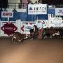 Photograph: Cutting Horse Competition: Image 1991_D-240_06
