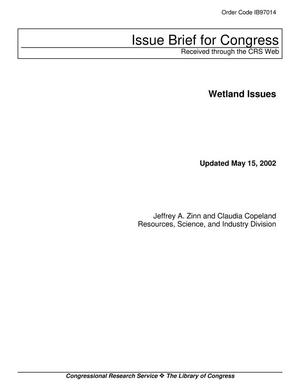 Primary view of object titled 'Wetland Issues'.