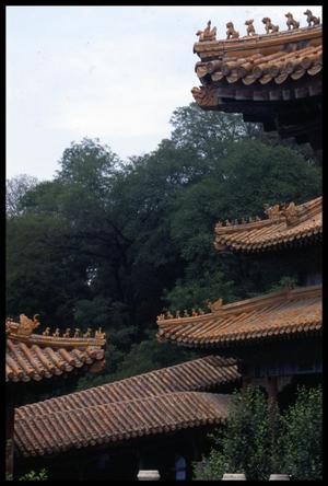 [Summer Palace Roofs]