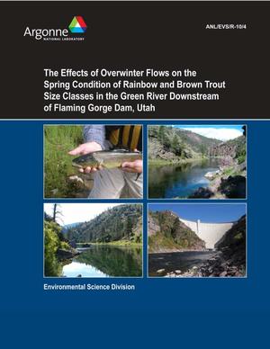The Effects of Overwinter Flowson the Spring Condition of Rainbow and Brown Trout Size Classes in the Green River Downstream of Flaming Gorge Dam, Utah.