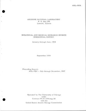 BIOLOGICAL AND MEDICAL RESEARCH DIVISION SEMIANNUAL REPORT FOR JANUARY THROUGH JUNE 1958