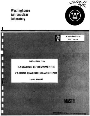 Radiation environment in various reactor components. Final report