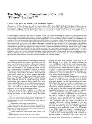 The Origin and Composition of Cucurbit "Phloem" Exudate