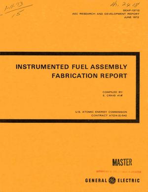 Instrumented fuel assembly fabrication report.