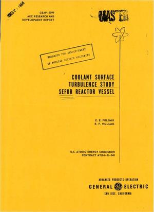 Coolant Surface Turbulence Study: Sefor Reactor Vessel.