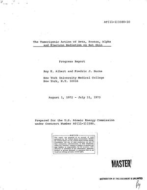 Tumorigenic action of beta, proton, alpha, and electron radiation on rat skin. Progress report, August 1, 1972--July 31, 1973