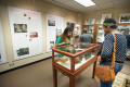 Photograph: [Attendees view the Proof exhibit]
