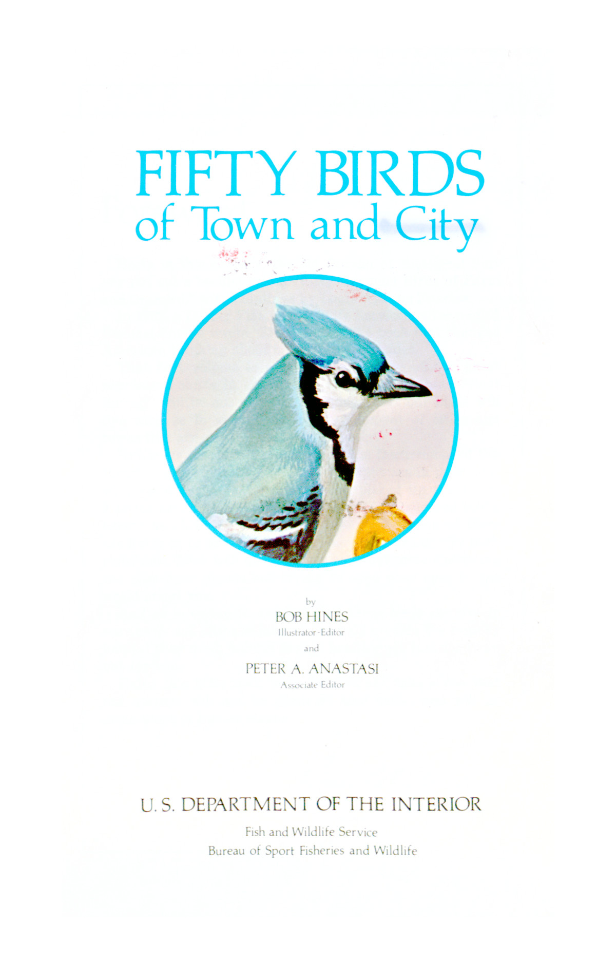 Fifty Birds of Town and City
                                                
                                                    [Sequence #]: 3 of 58
                                                