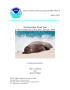 Thumbnail image of item number 1 in: 'The Hawaiian Monk Seal in the Northwestern Hawaiian Islands, 2003'.
