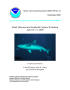 Report: Shark Deterrent and Incidental Capture Workshop April 10-11, 2008