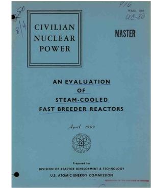 AN EVALUATION OF STEAM-COOLED FAST BREEDER REACTORS.