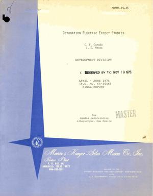 Detonation electric effect studies. Final report for period April--June 1975