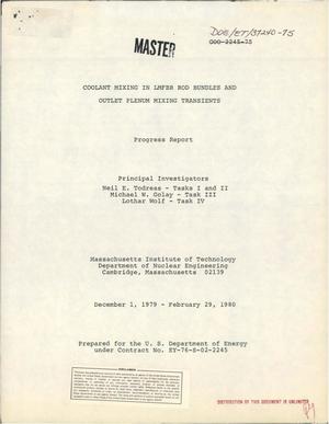 Coolant mixing in LMFBR rod bundles and outlet plenum mixing transients. Progress report, December 1, 1979-February 29, 1980