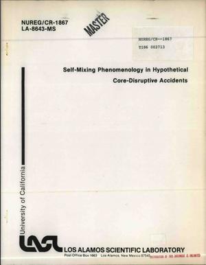 Self-mixing phenomenology in hypothetical core-disruptive accidents
