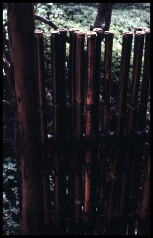 [Bamboo fence]