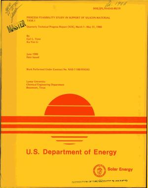 Process feasibility study in support of silicon material Task I. Quarterly technical progress report (XIX), March 1-May 31, 1980