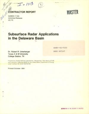 Subsurface radar applications in the Delaware Basin. Final report, June 1, 1980-January 31, 1981. [To probe into potash bed]