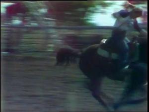 [News Clip: TCJC rodeo]