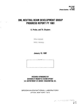 BNL Neutral-Beam Development Group. Progress report FY 1981